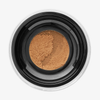 Draufsicht auf Danessa Myricks Beauty Evolution Powder in der Farbe #2.5, mit losem beigem Puder und Maschensieb in einem schwarz umrandeten Behälter.