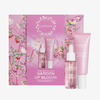 Drei Produkte aus dem Lumene GARDEN OF BLOOM SET 2026 vor einer rosafarbenen Schachtel mit nordischen Blumen und Schmetterlingen.