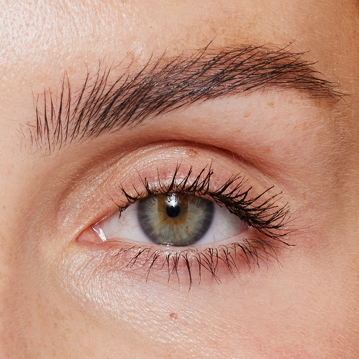 Nahaufnahme eines menschlichen Auges mit langen, definierten Wimpern, die durch den XLASH Lash Booster betont werden, und gepflegten Augenbrauen.