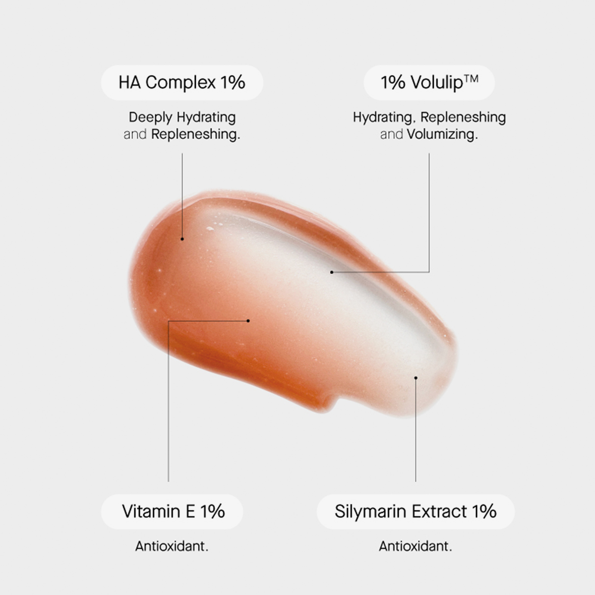 Glossige Terracotta Textur mit Hinweis auf 1 % HA-Komplex, Volulip™, Vitamin E und Silymarin – feuchtigkeitsspendende und antioxidative Inhaltsstoffe.