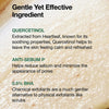 Textgrafik mit Infos zu Quercetinol, Anti-Sebum P und 0,5 % BHA als sanfte, aber wirksame Inhaltsstoffe für porenverfeinernde Hautpflege.