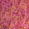 Nahaufnahme der Textur des des Opal Moonstone Loose Multichrome Eyeshadow Drama Queen; ein pink-orange schimmerndes Pigment.