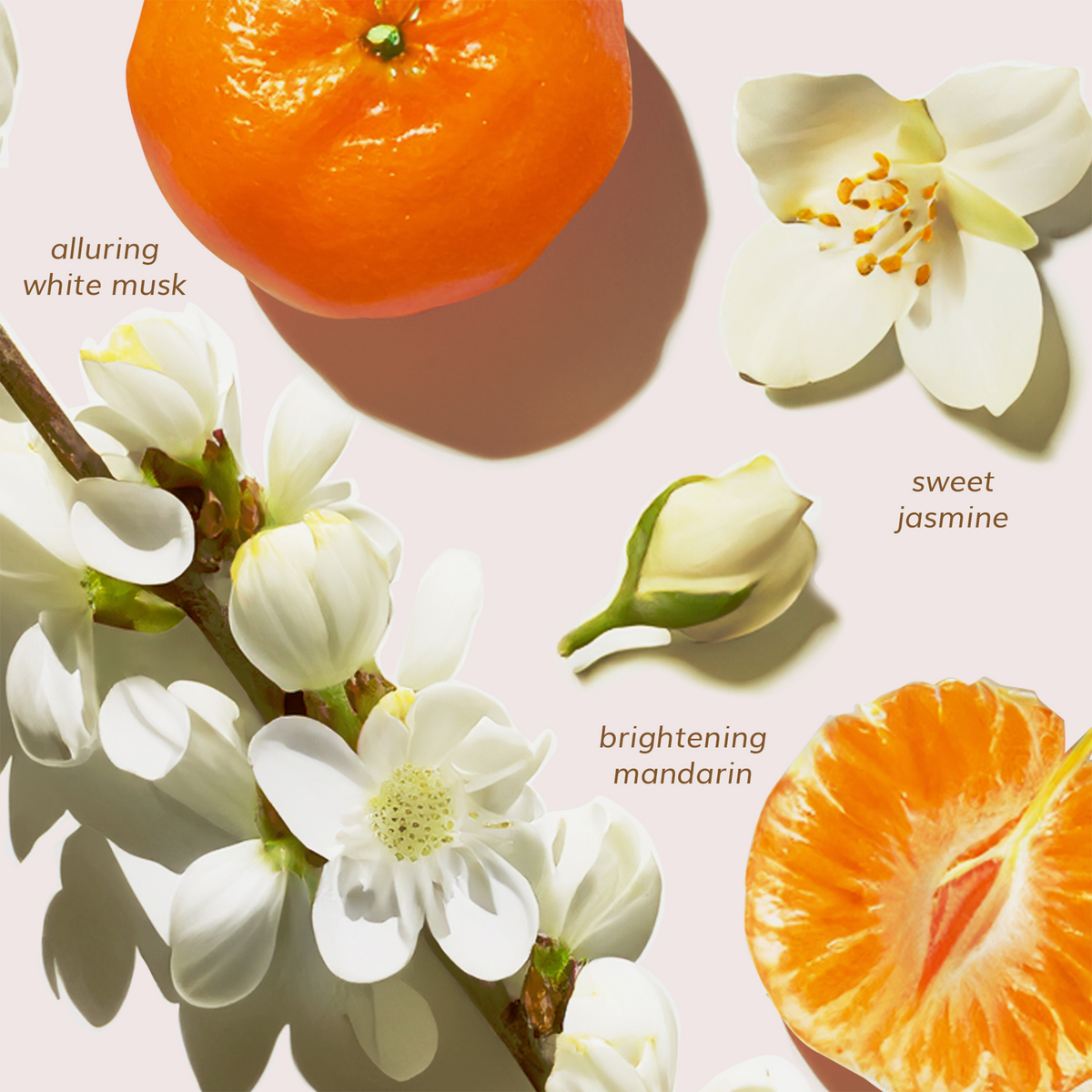 Das Abyssian Supergloss Haarserum duftet nach weißem Moschus, süßem Jasmin und Mandarine und wird mit Jasminblüten und Mandarinenscheiben dargestellt.