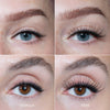 Nahaufnahmen von Augen mit natürlichen Wimpern auf der linken Seite und definierten, langen falschen Wimpern dank "The Lash" Creator von LH Cosmetics auf der rechten Seite.