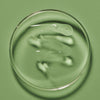 Eine klare Flüssigkeit auf einer Petrischale auf grüner Oberfläche, die das Purifying Cleanse Exfoliating Serum von Maria Nila präsentiert.
