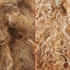 Blondierte krause Locken (links) vor und leuchtende definierte Locken (rechts) nach der Anwendung des N°5P Blonde Enhancer Toning Conditioner.