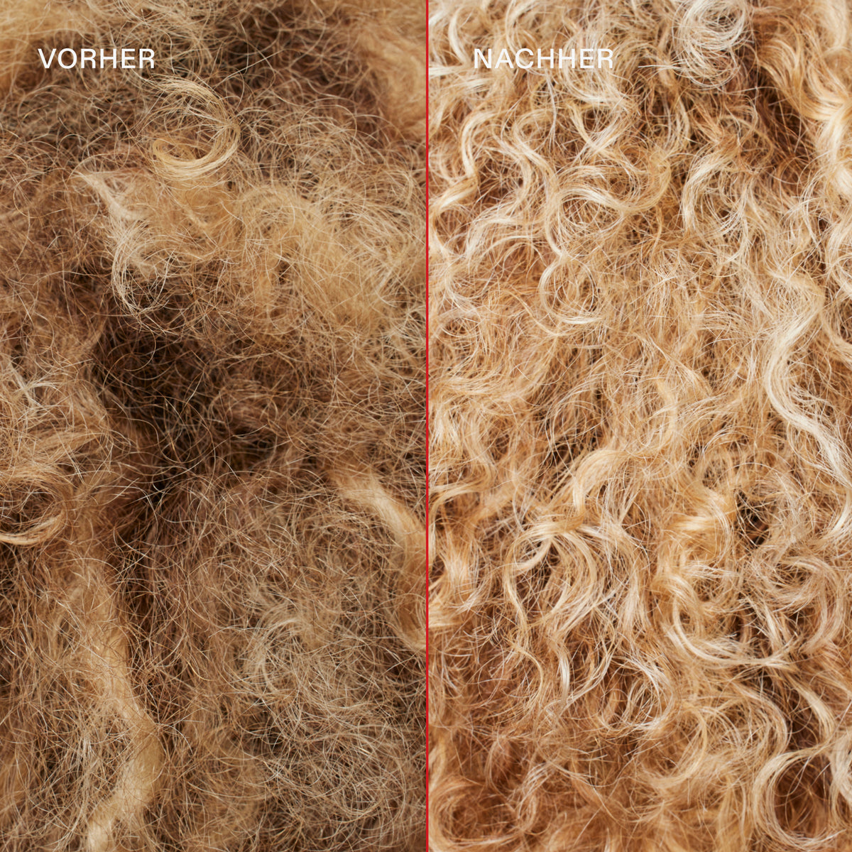 Blondierte krause Locken (links) vor und leuchtende definierte Locken (rechts) nach der Anwendung des N°5P Blonde Enhancer Toning Conditioner.