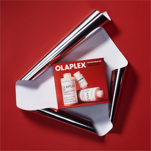 Total Hair Repair Holiday Kit 2026