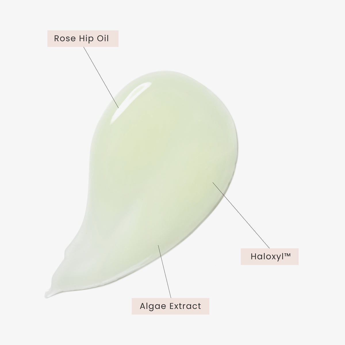 Nahaufnahme einer hellgrünen Geltextur mit drei beschrifteten Inhaltsstoffen: Rose Hip Oil, Algae Extract und Haloxyl™.