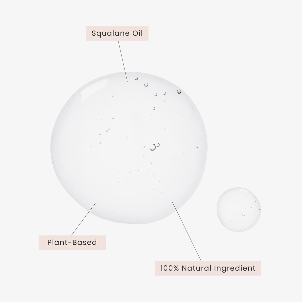 Zwei durchsichtige Tropfen des Öls auf weißem Hintergrund. Der größere Tropfen ist mit ‚Squalanöl‘, ‚Pflanzlich‘ und ‚100 % natürlicher Inhaltsstoff‘ beschriftet.