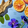 „Youth Bloom Hair Mist“ von Abyssian mit Noten von Orangenscheiben, Holz, Minze und violetten Blüten vor blauem Hintergrund.
