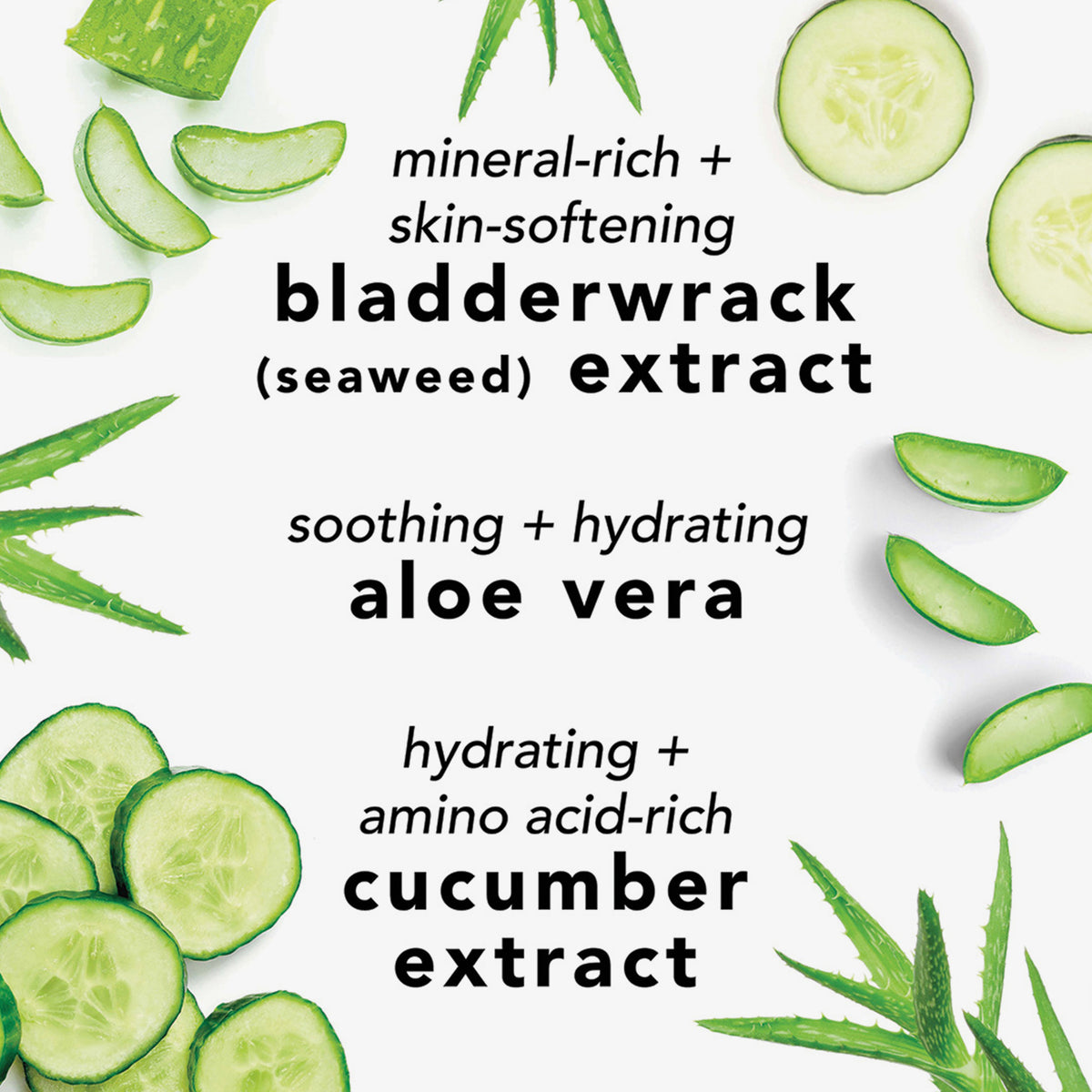 Grafik mit Wirkstoffen: Algenextrakt nährstoffreich, Aloe vera beruhigend, Gurkenextrakt feuchtigkeitsspendend – dekoriert mit Pflanzenbildern.