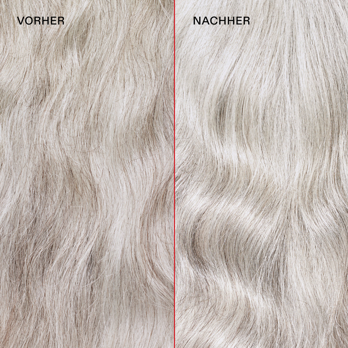 Graues krauses Haar (links) vor und farbintensives glänzendes Haar (rechts) nach der Anwendung des N°4P Blond Enhancer Toning Shampoo.