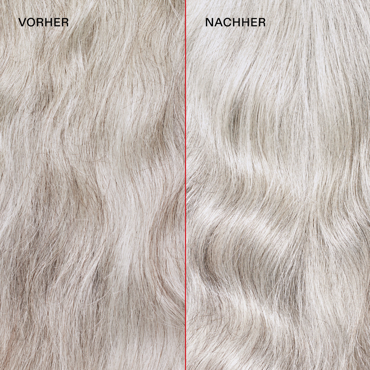 Graues krauses Haar (links) vor und leuchtendes weiches Haar (rechts) nach der Anwendung des N°5P Blonde Enhancer Toning Conditioner.