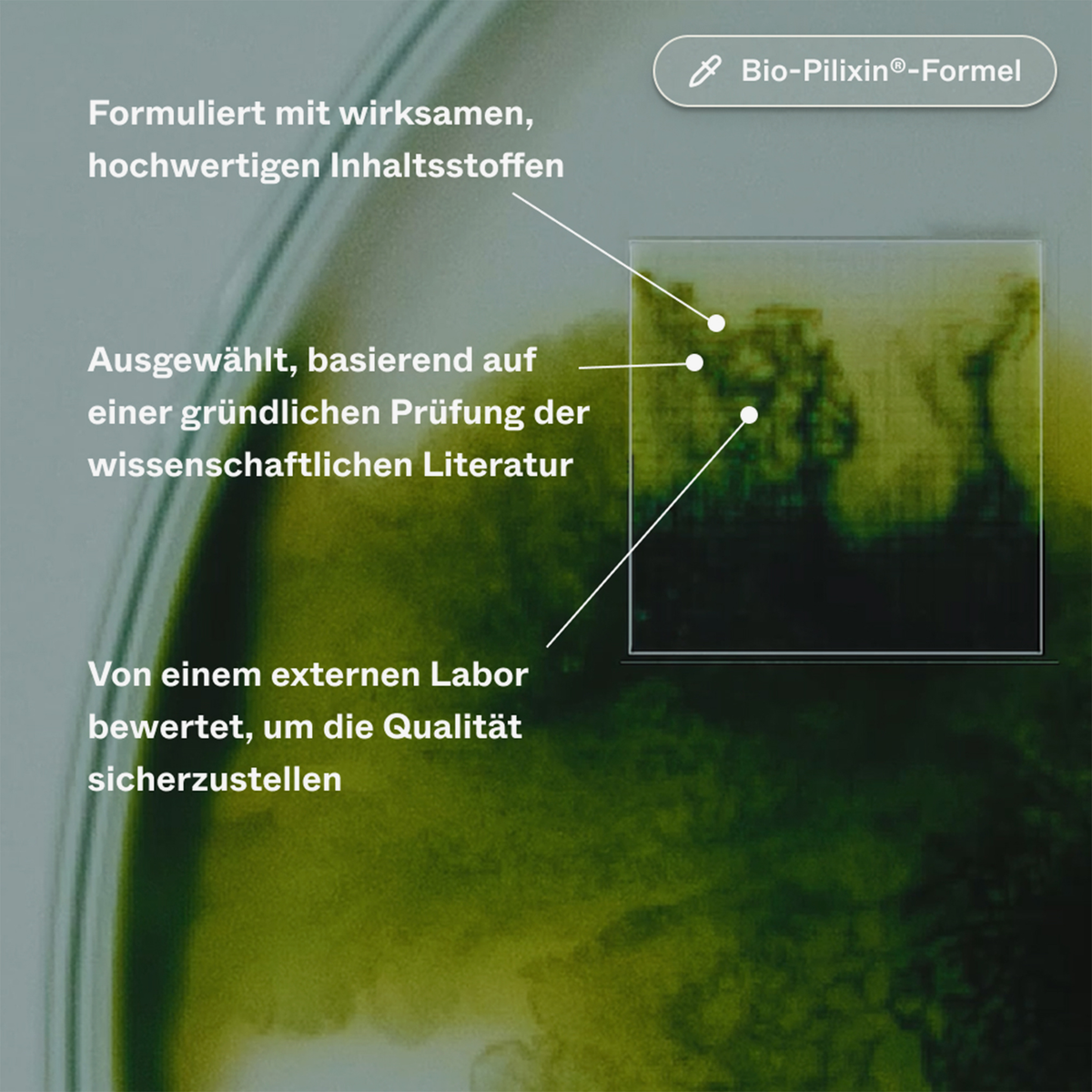 Grüner Hintergrund mit Text zu Inhaltsstoffen, Literaturprüfung und Laborbewertung der Bio-Plixin®-Formel von Scandinavian Biolabs.