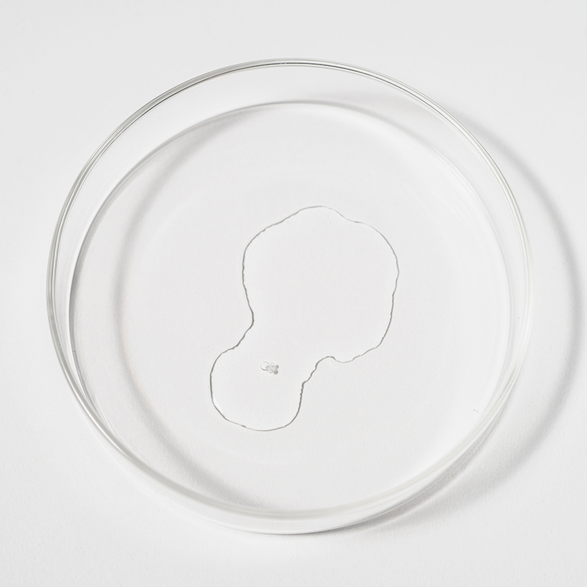 Eine durchsichtige Petrischale mit einem kleinen, unregelmäßig geformten Tröpfchen Bio Plixin Serum+ Men von Scandinavian Biolabs vor einem weißen Hintergrund.