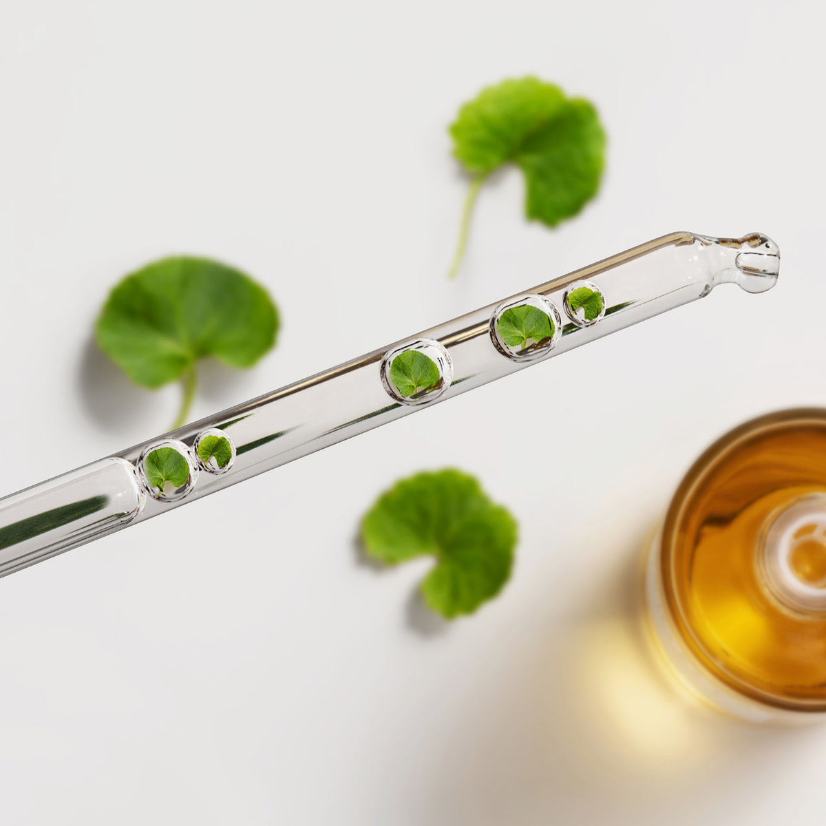 Glaspipette mit Tropfen, die grüne Blätter enthalten – daneben grüne Centella-Blätter und ein Glasgefäß mit goldfarbener Flüssigkeit auf hellem Hintergrund.