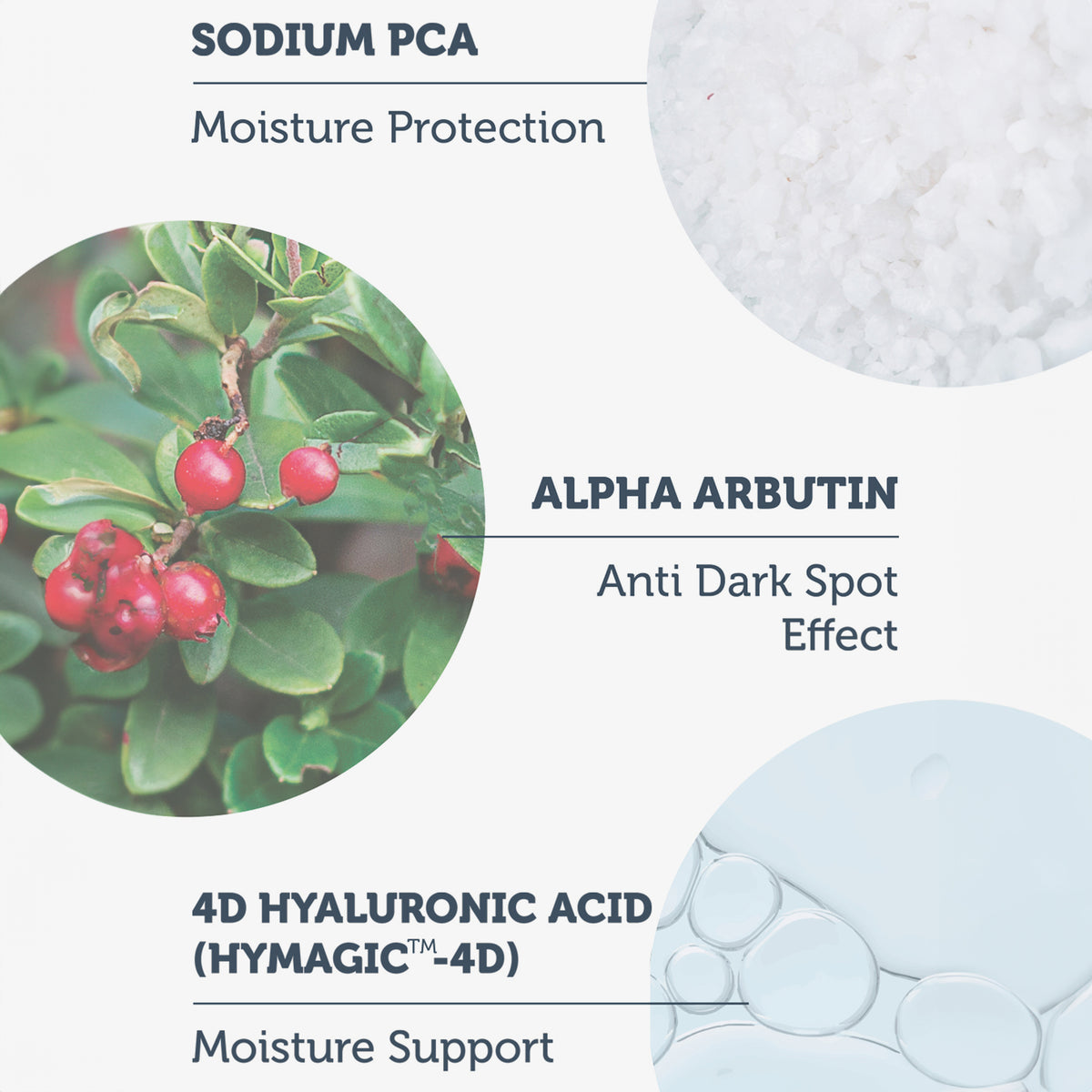 Bild zeigt drei Hauptinhaltsstoffe: Sodium PCA für Feuchtigkeitsschutz, Alpha Arbutin gegen Pigmentflecken und 4D Hyaluronsäure zur Feuchtigkeitsversorgung.