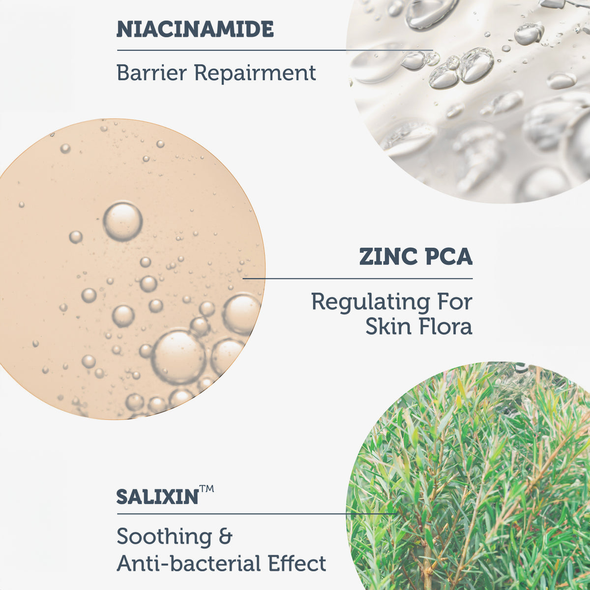 Grafik zeigt drei Inhaltsstoffe: Niacinamide zur Stärkung der Hautbarriere, Zinc PCA zur Regulation der Hautflora und Salixin™ mit antibakterieller Wirkung.