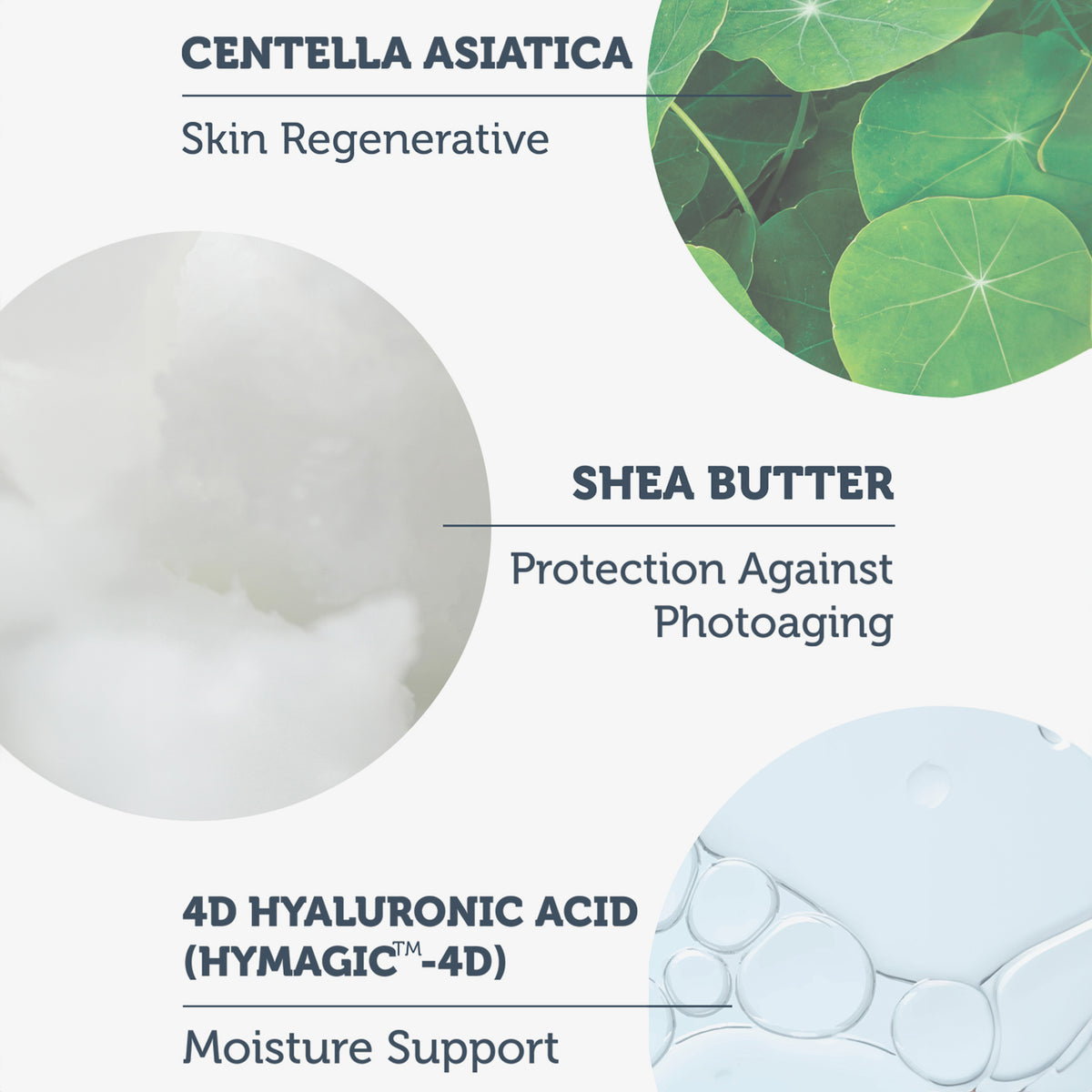 Infografik, die die Vorteile von Centella Asiatica, Sheabutter und 4D-Hyaluronsäure im 50+ SPF Invisible UV Protection Daily Intensive Moisturizer hervorhebt.