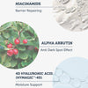 Kreisförmige Bilder zeigen Niacinamid, Alpha-Arbutin und Hyaluronsäure und beschreiben detailliert ihre Vorteile für die Hautpflege.
