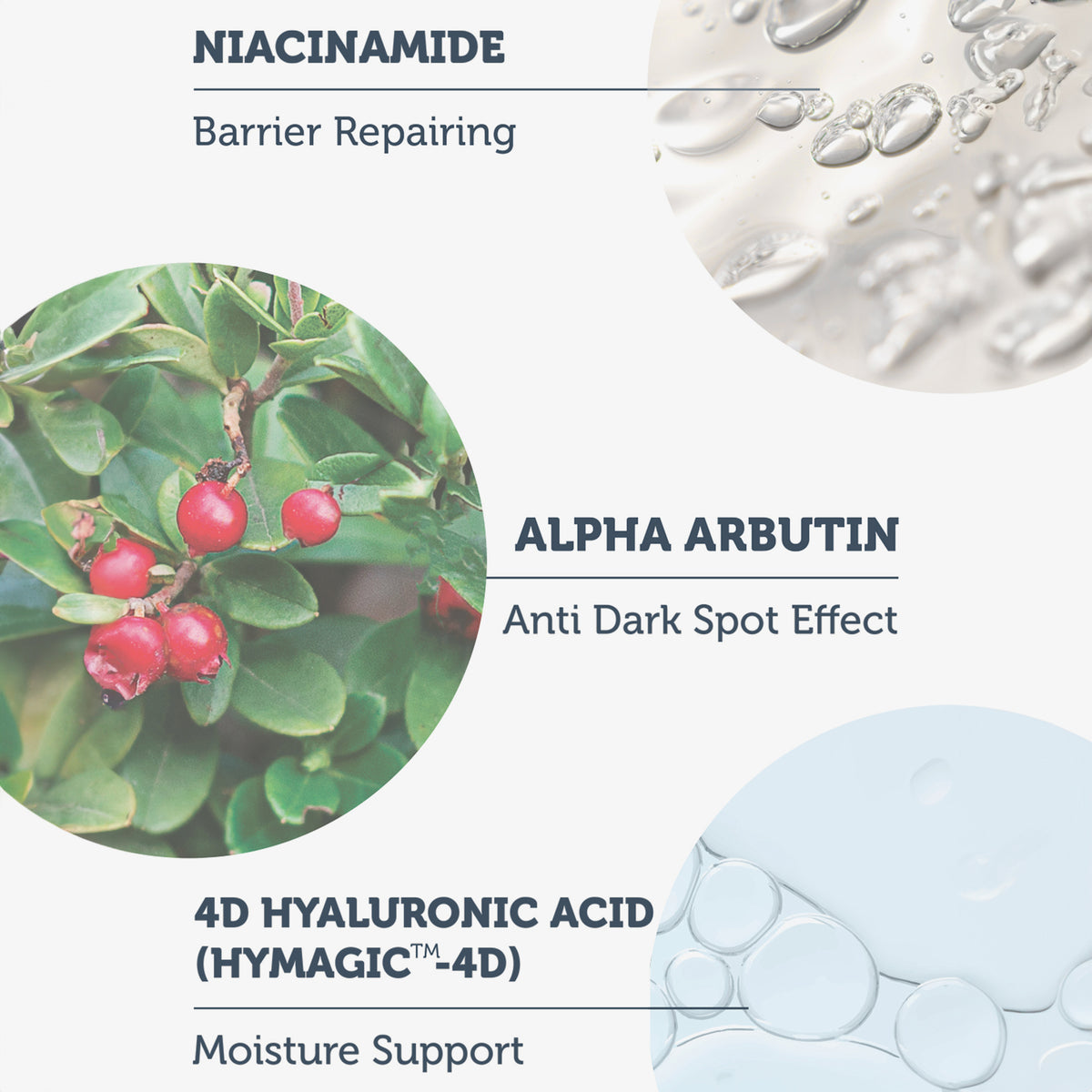 Kreisförmige Bilder zeigen Niacinamid, Alpha-Arbutin und Hyaluronsäure und beschreiben detailliert ihre Vorteile für die Hautpflege.