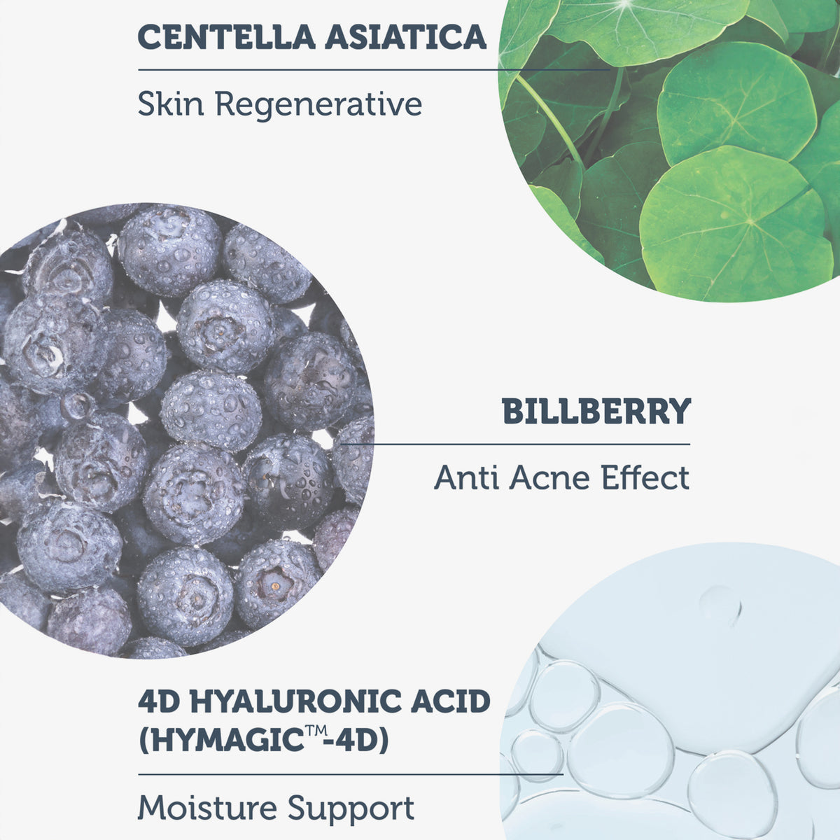 Diagramm der Inhaltsstoffe: Centella Asiatica (hautregenerierend), Heidelbeere (Anti-Akne-Wirkung), 4D Hyaluronsäure (Feuchtigkeit).