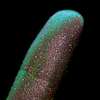 Nahaufnahme einer Fingerspitze, die in den Opal Moonstone Loose Multichrome Eyeshadow Lucky Charm getaucht wurde und grün und rosa glitzert.