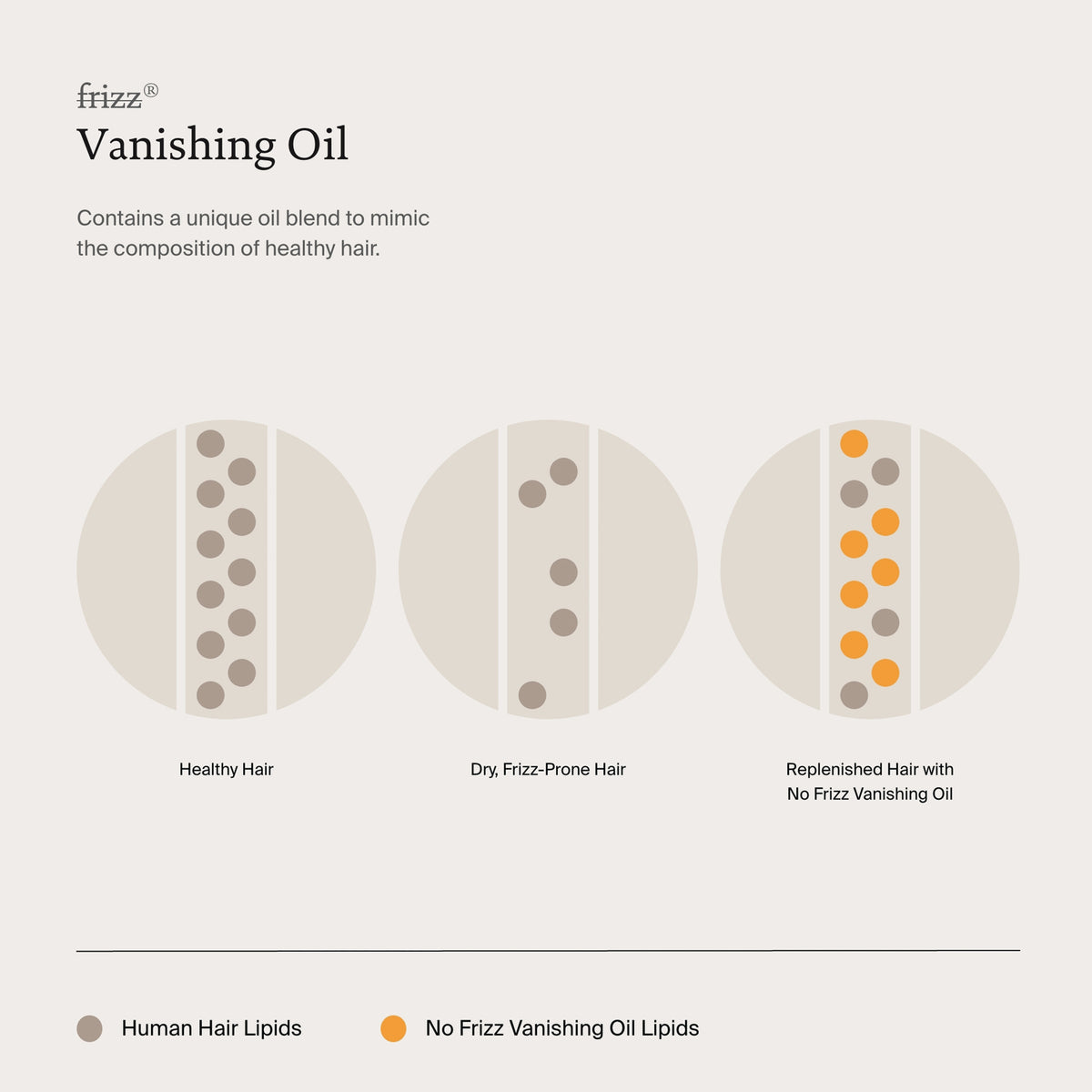 Drei Kreise vergleichen gesundes Haar, trockenes, zu Frizz neigendes Haar und mit Living Proof No Frizz Vanishing Oil behandeltes Haar.