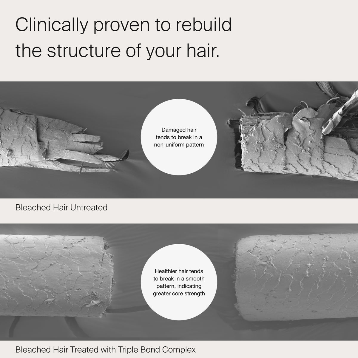 Zwei mikroskopische Haarbilder: gespaltenes, geschädigtes, unbehandeltes Haar und glattes, wiederhergestelltes Haar nach der Behandlung mit Living Proof Triple Bond Complex.