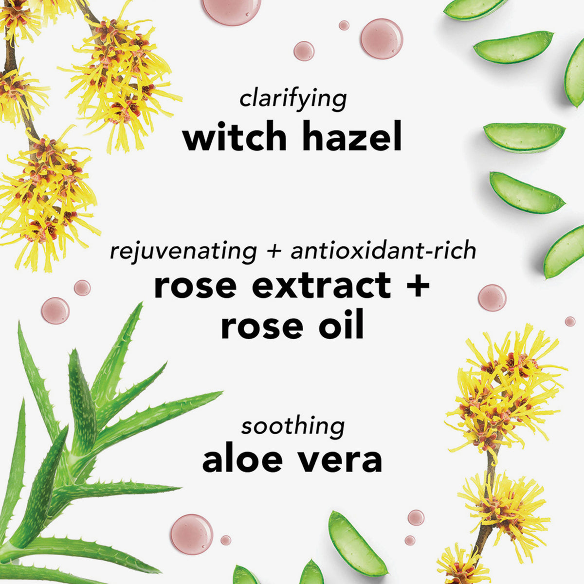 Grafik mit Wirkstoffen: Hamamelis klärend, Rosenextrakt antioxidativ, Aloe vera beruhigend – umgeben von Pflanzenteilen und rosa Tropfen.
