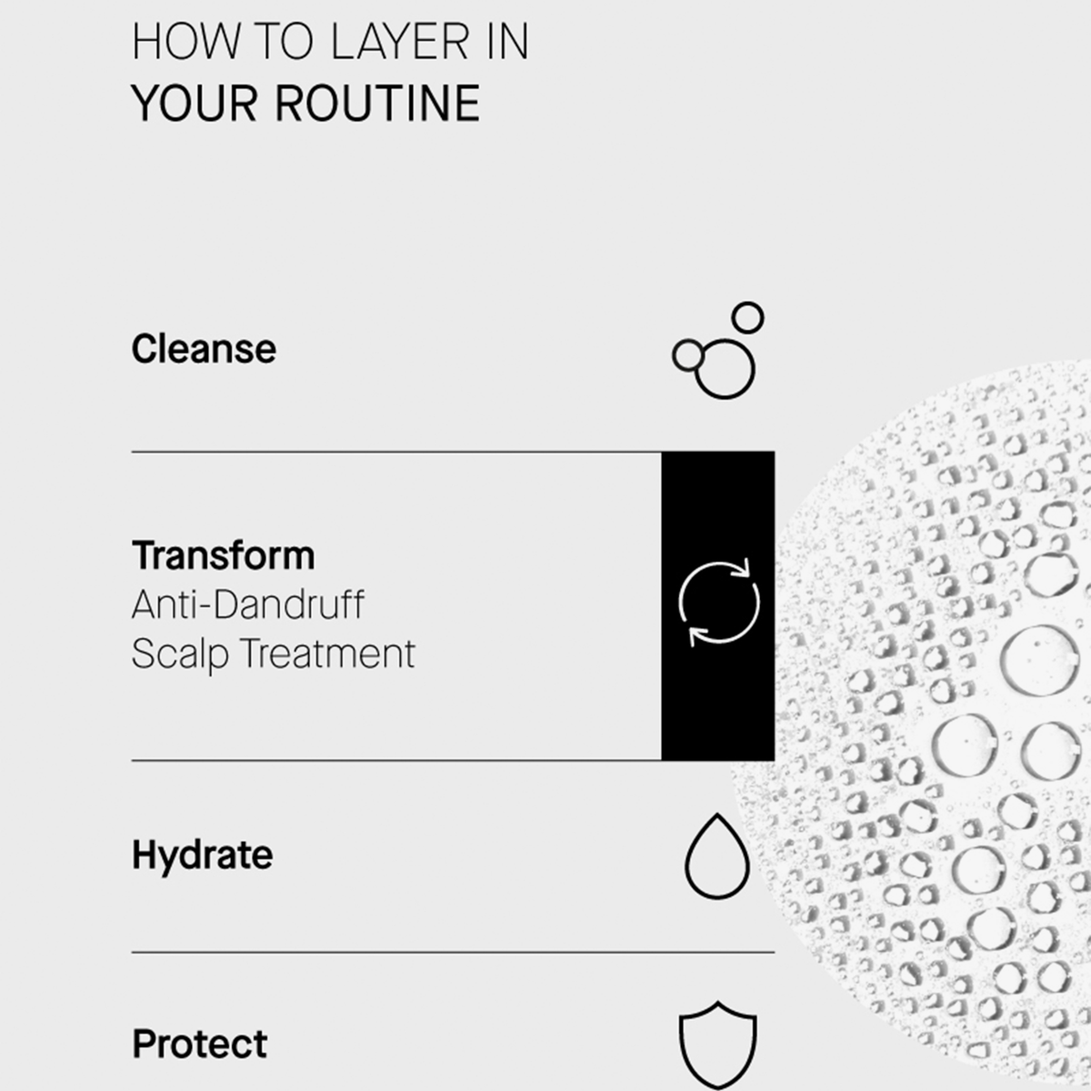 Routine in 4 Schritten: Cleanse, Transform (Anti-Dandruff Scalp Treatment), Hydrate, Protect. Textur rechts abgebildet.