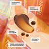 Brauner Swatch des Technocolor Self Tanning Face Serum Caramel auf buntem Hintergrund; dazu Info zu Inhaltsstoffen.