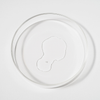 Eine durchsichtige Petrischale mit einem getrockneten, transparenten Rückstand von Bio-Pilixin® Serum+ Women von Scandinavian Biolabs ist auf weißem Hintergrund abgebildet.