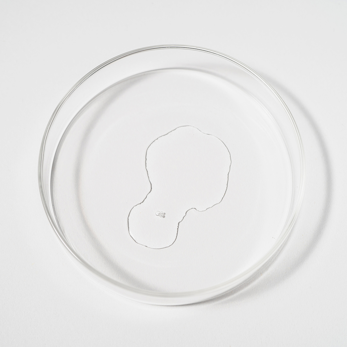 Eine durchsichtige Petrischale mit einem getrockneten, transparenten Rückstand von Bio-Pilixin® Serum+ Women von Scandinavian Biolabs ist auf weißem Hintergrund abgebildet.