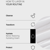 Routine in 4 Schritten: Cleanse, Transform, Hydrate (Barrier restoring Hydrating Cream, Protect. Cremetextur rechts abgebildet.
