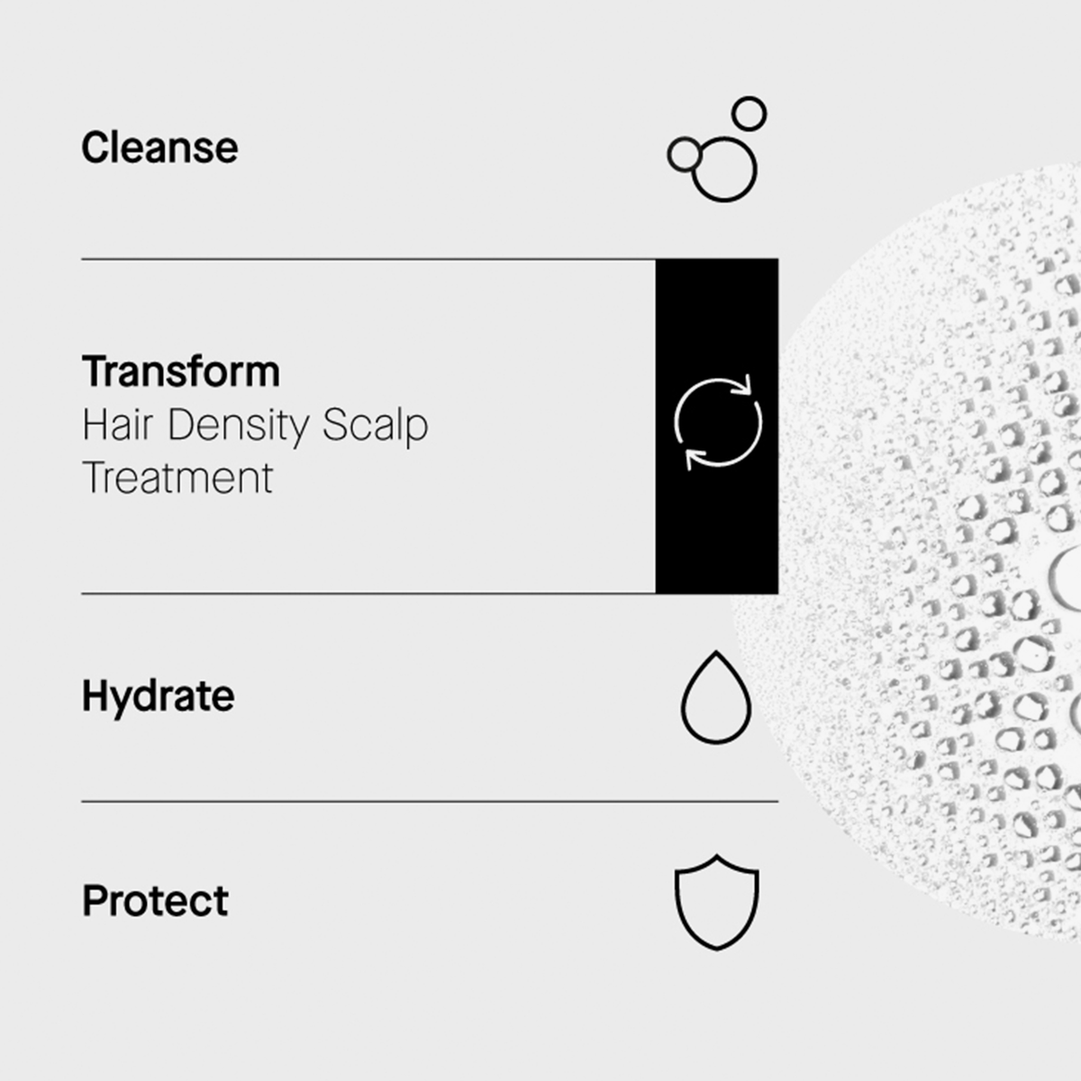 Routine in 4 Schritten: Cleanse, Transform (hair Density Scalp Treatment), Hydrate, Protect. Textur rechts abgebildet.