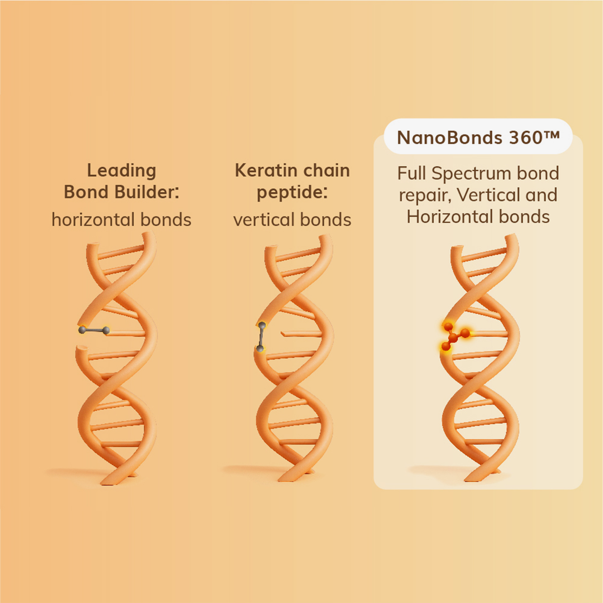 Drei DNA-Stränge veranschaulichen die verschiedenen Bindungstypen, wobei der „Abyssian Nano Repair Conditioner“ eine vollständige Reparatur der Bindungen hervorhebt.
